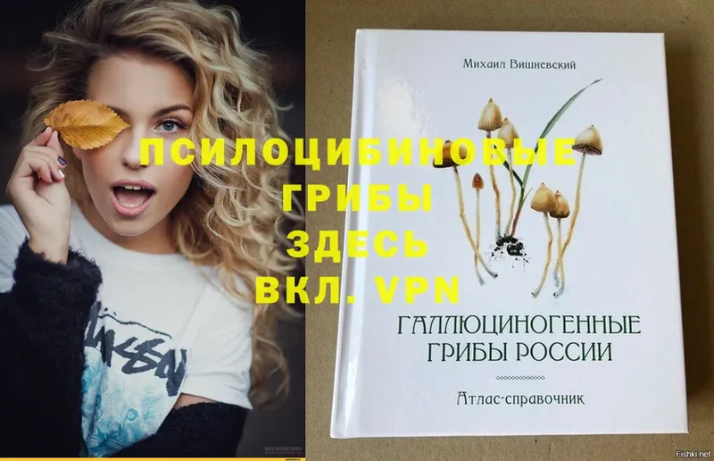 Галлюциногенные грибы Magic Shrooms  даркнет сайт  Любим 